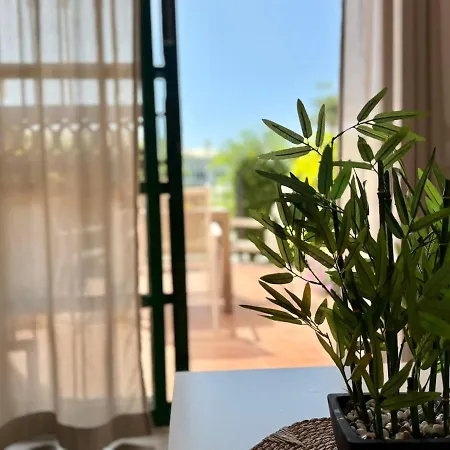 Dunaflor 86 By Sunhousescanarias Maspalomas